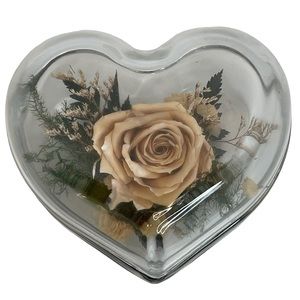 Natural Expressions Real Freeze Dried Rose Clear Glass Heart Paperweight Cottage